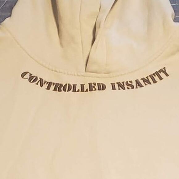 Controlled Insanity Size S Forged in Failure Cropped Hoodie Gray Cotton Blend - Picture 2 of 10
